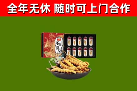 嘉鱼县回收冬虫夏草价格