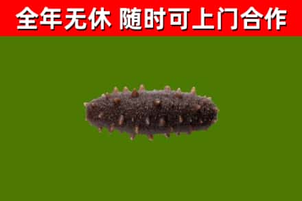 嘉鱼县烟酒回收干海参.jpg